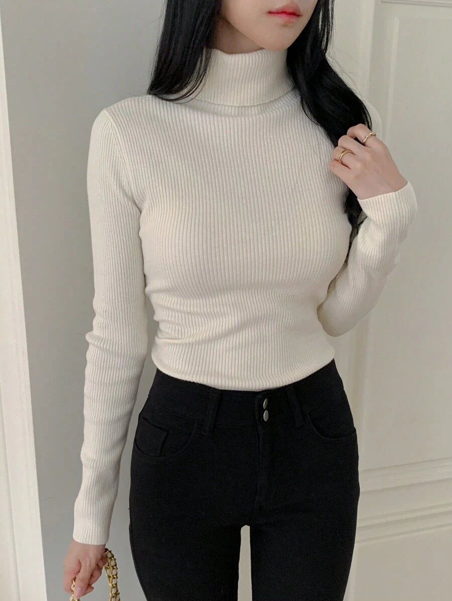 High Neck Fitted Sweater Long Sleeve